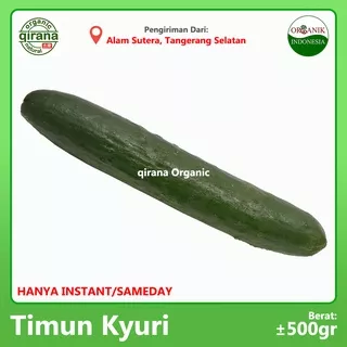 TIMUN KYURI Organik /pck(~500g)