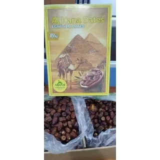 kurma mesir 10kg