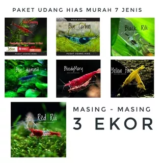 udang hias - Paket 7 jenis hiasan udang hias aquascape aquarium