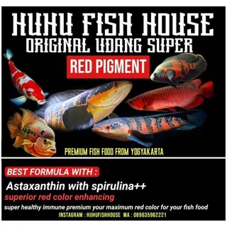 PAKAN IKAN PREDATOR - UDANG SUPER RED HUHU FISH HOUSE