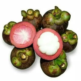 Buah Manggis 1 Kg