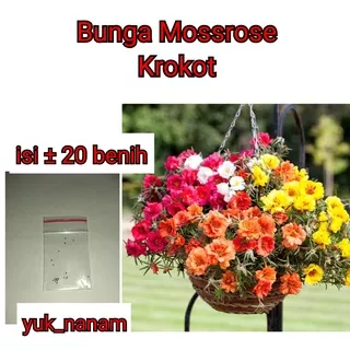 20 Benih Bunga Mossrose Mix Krokot Bibit Tanaman Hias Moss Rose Portulaca Mix Import Premium Seed