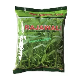 ( 1 kg ) Benih kangkung RAJAWALI 1 kg kangkung daun lebar dari Garuda Seed