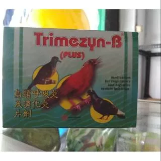 TRIMEZYN B PLUS BOX ISI 12PCS Obat mencret snot burung