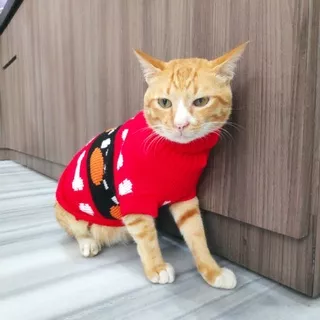 Pet Cat Dog Sweater baju rajut hangat anjing kucing size 4 6 8