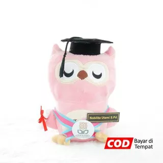 Boneka Wisuda Owl Love Pink 20cm Small Kado Wisuda