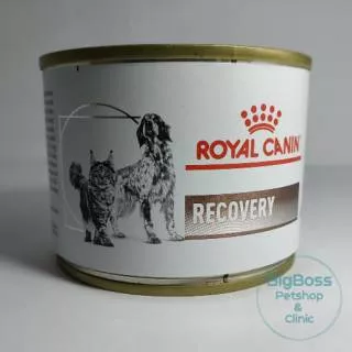 Royal Canin Kaleng Recovery 195gr, Murah Berkualitas-BigBoss Petshop