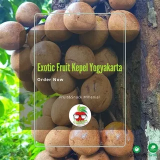 Buah Kepel Fresh Khas Jogja 1Kg