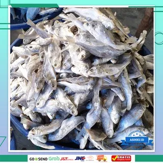 IKAN ASIN KEPALA BATU 250g | IKAN ASIN GELAMA | IKAN ASIN SAMGE 250g | IKAN ASIN PALING MURAH