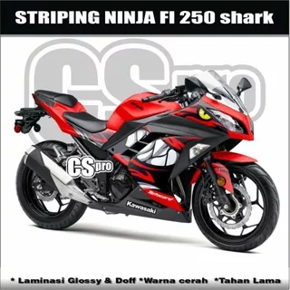 DECAL STRIPING STICKER KAWASAKI NINJA 250 FI OLD / STIKER VARIASI NINJA FI LAMA