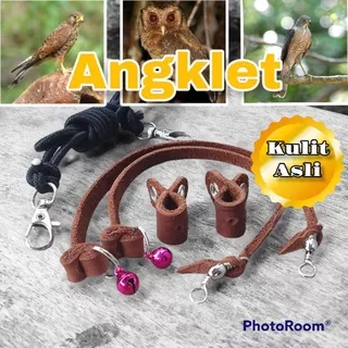 Angklet burung alap alap Kestrel/Kastrel, Kabit, dan Burung hantu celepuk