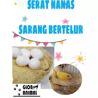 SERAT NANAS sarang burung tempat bertelur rumah piyik lovebird kenari