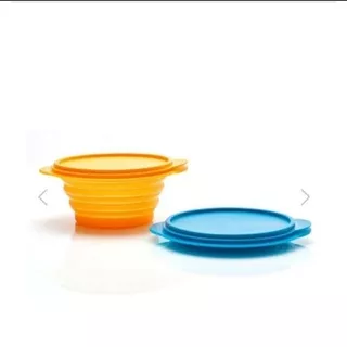 tupperware Go flex / tempat makan 1 pcs