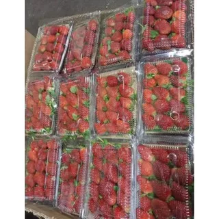 Buah Strawberry segar 1 pack Stroberi buah Fresh