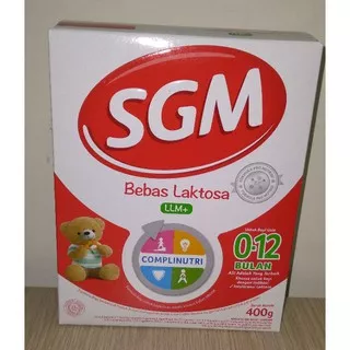 SGM LLM+