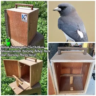 Kotak khusus bawa Burung kekep babi dan burung hantu kecil