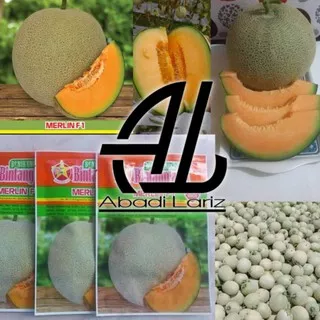 Benih Melon Merlin F1 20 gr daging orange Bintang Asia | ABADILARIZ