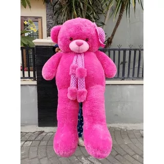 Boneka Teddy Bear Beruang Super Jumbo Free bungkus kado