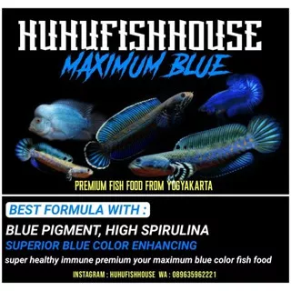 PAKAN IKAN PREDATOR - UDANG KERING MAXIMUM BLUE by HUHU FISH HOUSE