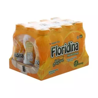 Floridina orange 350ml x 12 botol (1 dus)