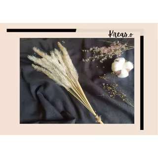 dried flowers/bunga kering/bunga alang alang kering
