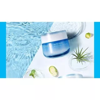 [BPOM] LANEIGE Waterbank Water Bank Moisture Cream EX  50ml