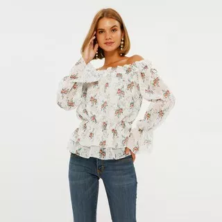 Cloth Inc Long Sleeve Floral Sheer Top