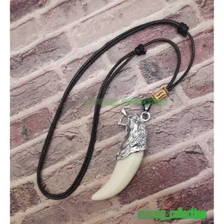 kalung tali bandul taring naga