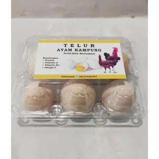 Telur ayam kampung KUB Fertil, bisa di tetaskan - telur tetas KUB. hrg untuk 1 BOX isi 6 Butir