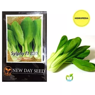 Benih SAWI SENDOK SYLPHY ( PAK CHOY ) 3 gr - New Day Seed Berkualitas Hidropedia