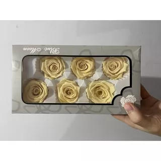 Preserved Rose (5 - 6 cm)