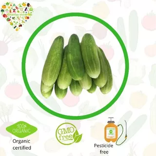 sayur organik - timun organik 500 gram