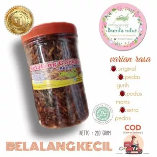 belalang goreng kecil