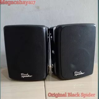 Speaker Pasif plus bracket /Black Spider Original S 422 woofer 4 /Speaker gantung / Speaker monitor Dinding