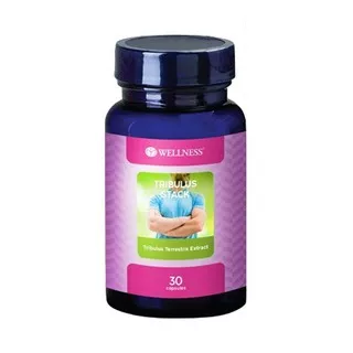 Wellness Tribulus Stack - Suplemen Stamina Pria - 30 Kapsul - B69021