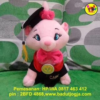 Boneka Wisuda Kucing / Merry Cat Plus Pin dan Bordir Nama 30 cm