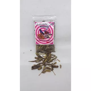 GRASSHOPPER 7 gr BELALANG KERING Pakan Burung Murai Kacer Hwamei dll