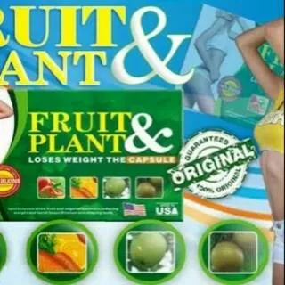 Obat Pelangsing Badan Fruit Plant Original