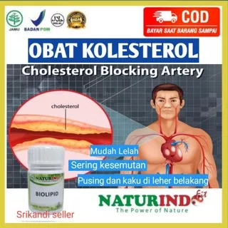 Obat Kolesterol Obat Kolesterol Dan Asam Urat Obat Nyeri Sendi Herbal Alami