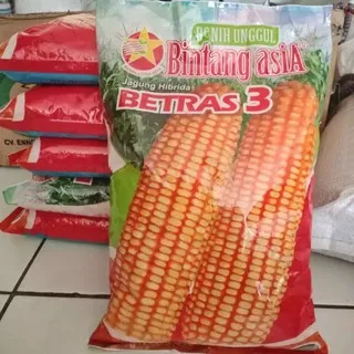 Benih Jagung Hibrida Betras 1kg - Bibit Jagung - Bibit Jagung Hibrida