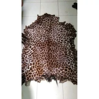 kulit kambing bulu leopard macan harimau