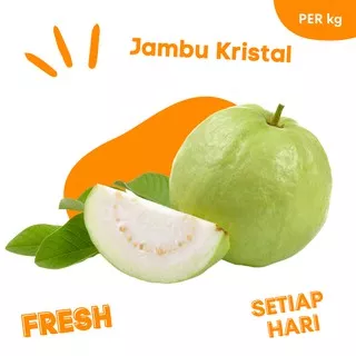 Buah Buahan JAMBU KRISTAL PUTIH PER KG FRESH Sayuan dan Buah Buahan Online Makassar