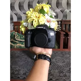 Canon 7D body only mulus