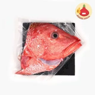 Kepala Kakap/Kepala Kakap Merah/Kepala Kakap Merah Segar/Kepala Ikan Kakap Merah 1kg - Bawangbagus