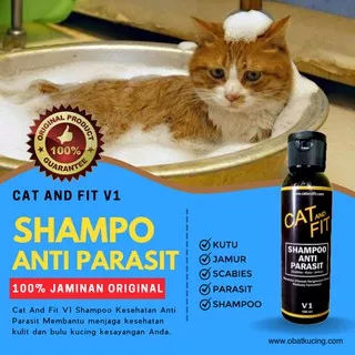 SHAMPOO KUCING CAT AND FIT V1 ANTI PARASIT UNTUK MEMBANTU MENGATASI JAMUR KUTU RINGWORM PADA KUCING