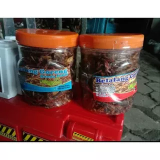 belalang goreng kecil