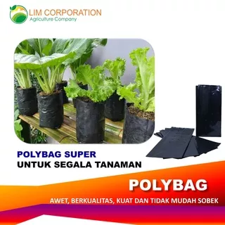 POLYBAG TANAMAN PLASTIK POLYBAG BERKUALITAS POLYBAG MURAH POLYBAG HITAM POLYBAG BIBIT LIM