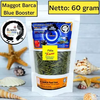 El Barca Maggot BSF Blue Booster 60 gram | Pakan Channa Barca, Auranti, Blue Pulchra, Stewarti, Andrao, Silver Arwana. dst