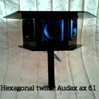 Twitter Hexagonal ( 6 sudut) Audax ax 61
