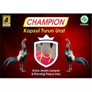 OBAT TURUN URAT AYAM  CHAMPION JALU AJI